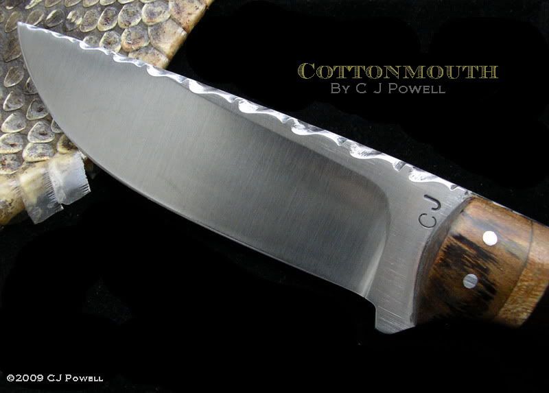 CottonmouthLeftBlade.jpg