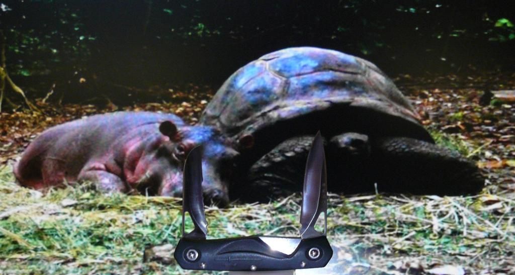 WehaveamandateNewNormal003.jpg