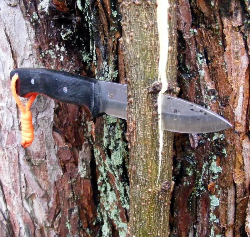 DSCF2561.jpg