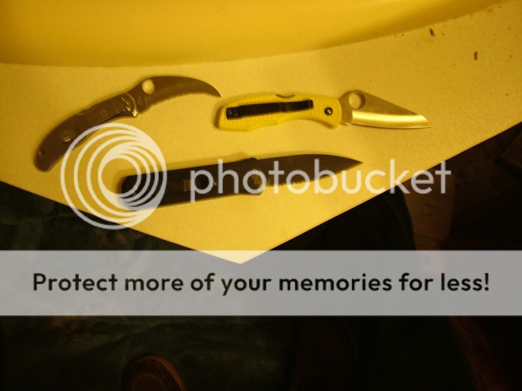 DSCF4811.jpg