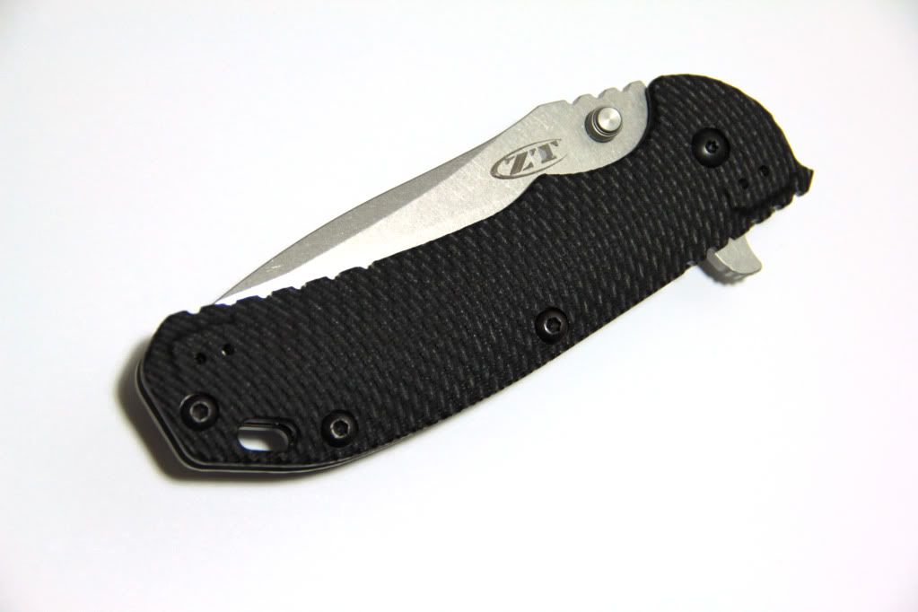 ZT0560_11.jpg