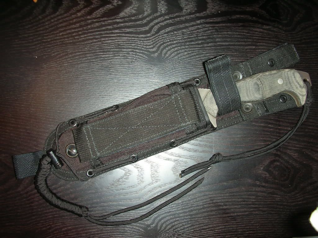 DSCN5891.jpg