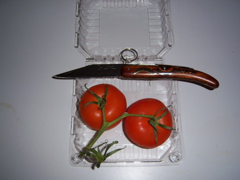 Okapi004.jpg