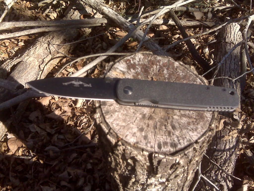 IMG00305.jpg