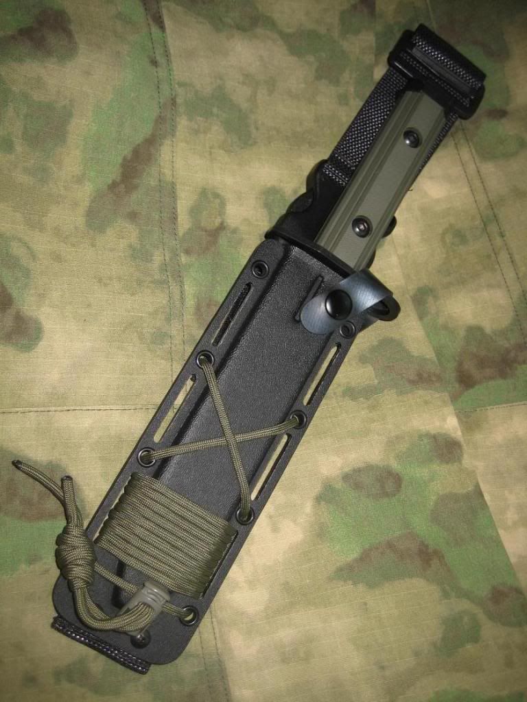 ZT1.jpg