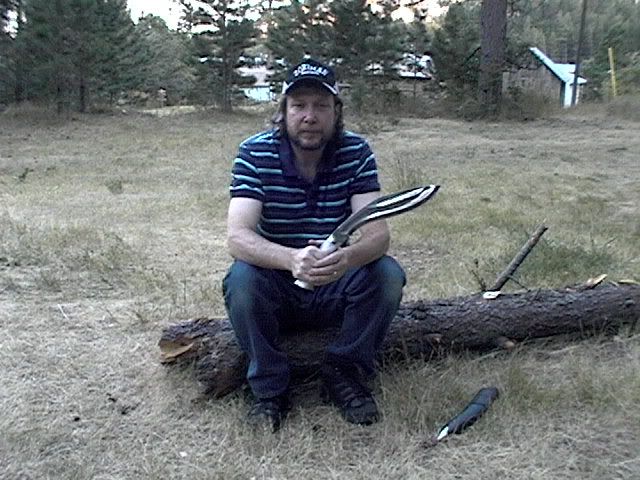 BDCfellsatree001.jpg