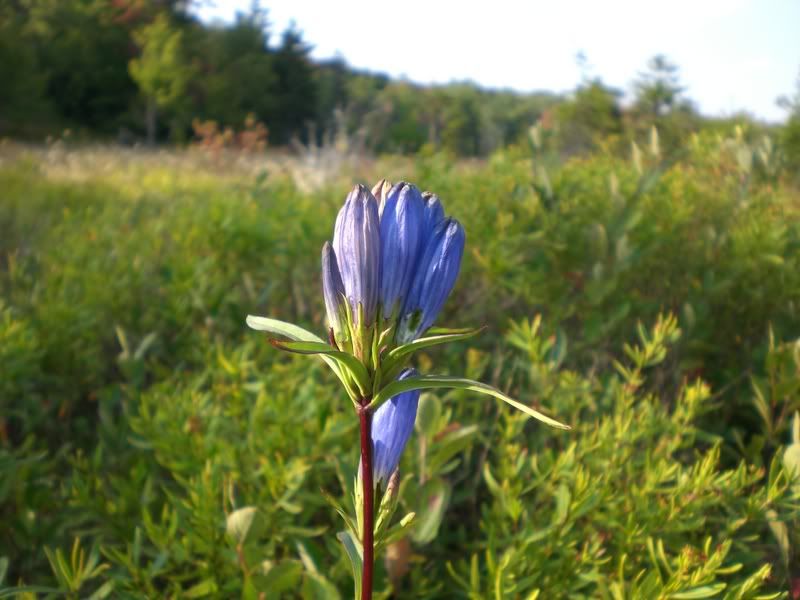 2007_0910Image0014.jpg