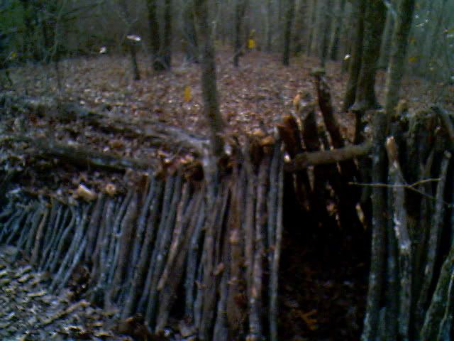 IMG00950.jpg
