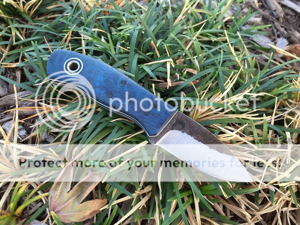 IMG_1380_zpsjffrbx6l.jpg
