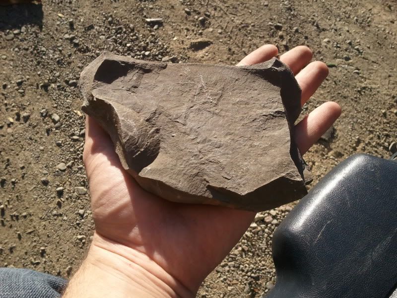 2012-10-18091803.jpg