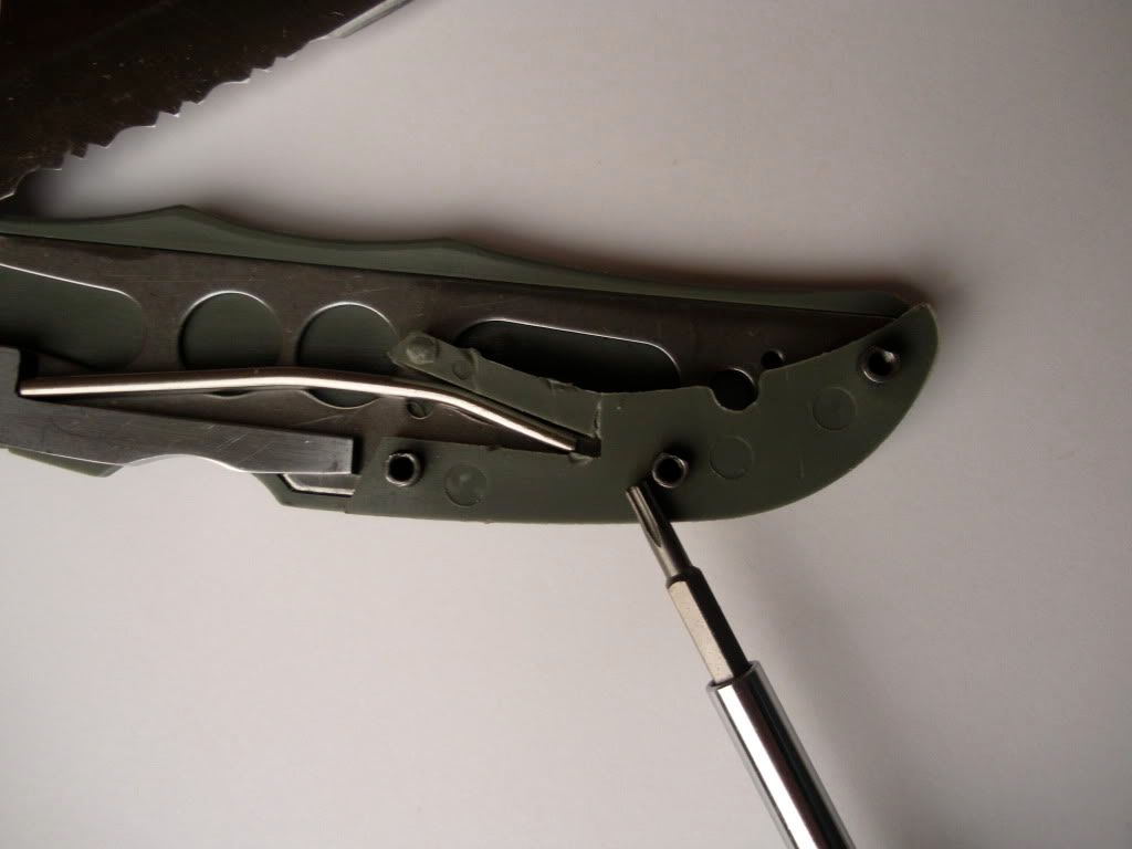 DSCN0342.jpg