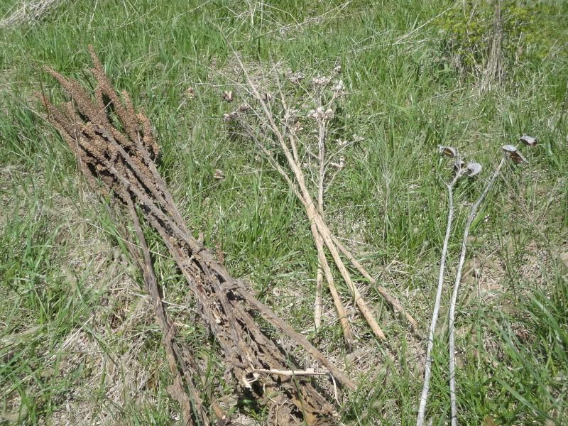 bushclass067.jpg