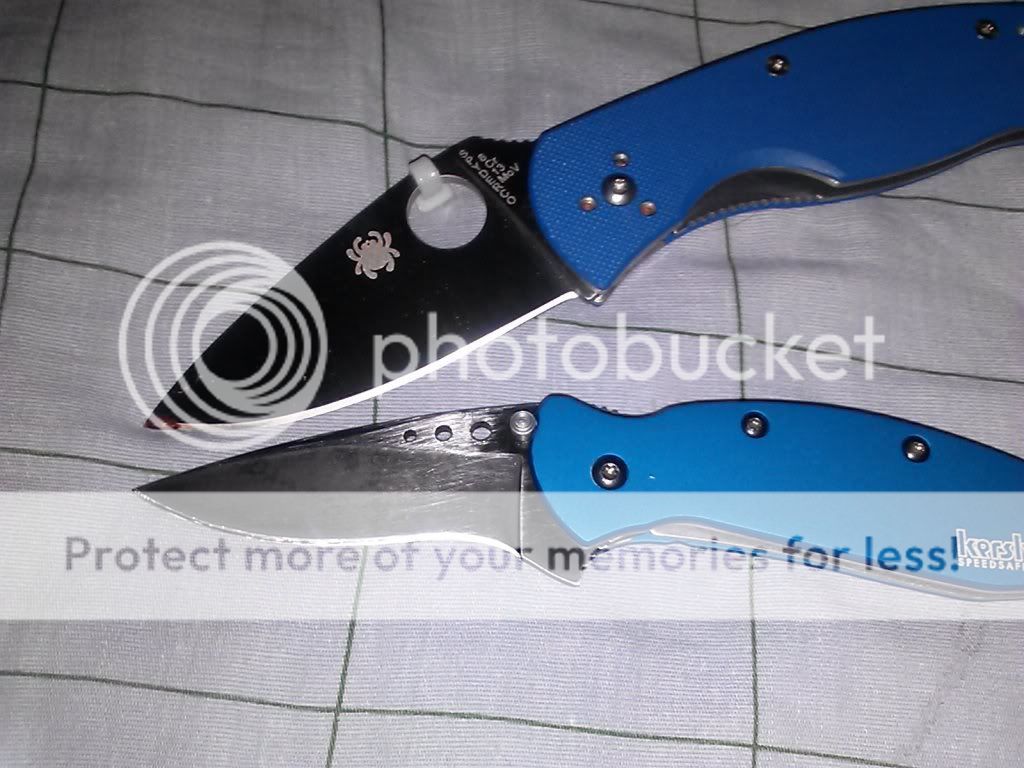 CAM00651_zps656dc230.jpg