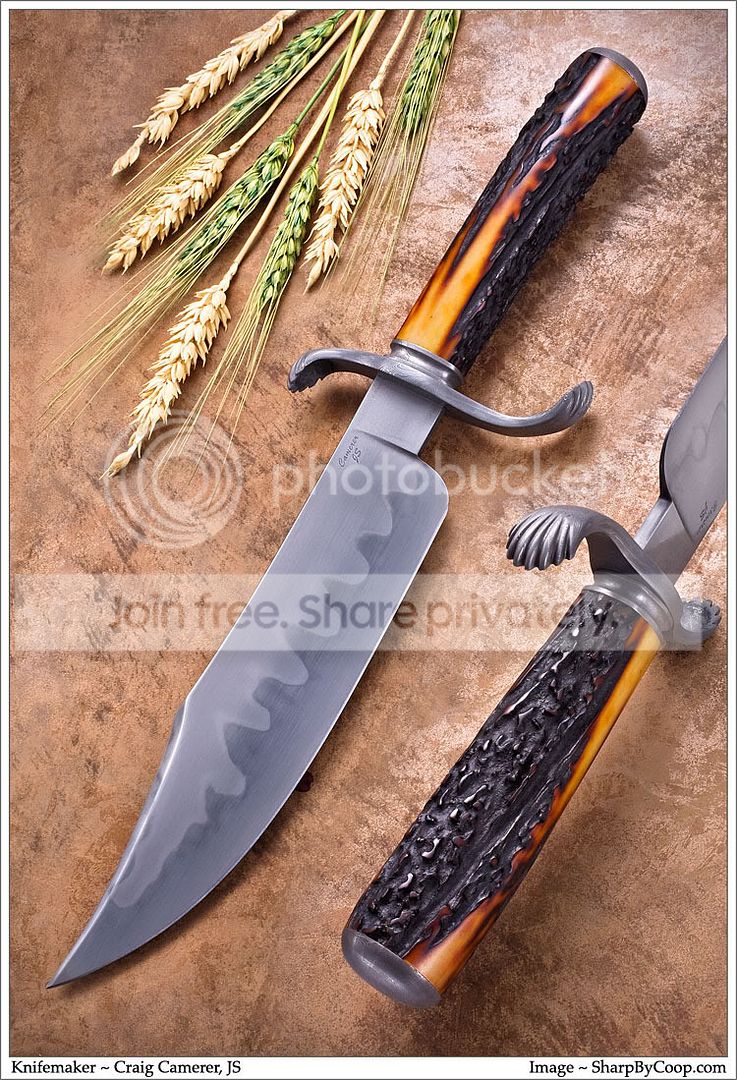 CamererSWBowie.jpg