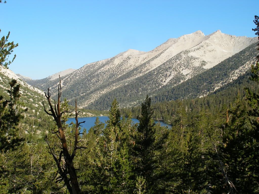 KingsCanyon2009511.jpg