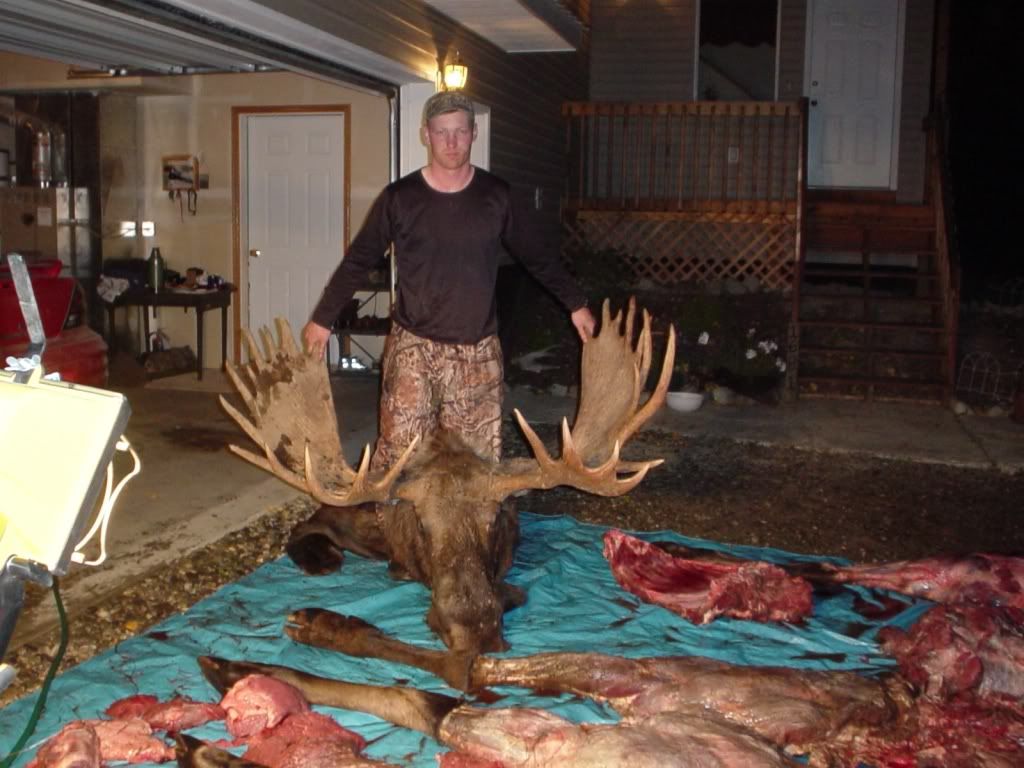James_Moose.jpg