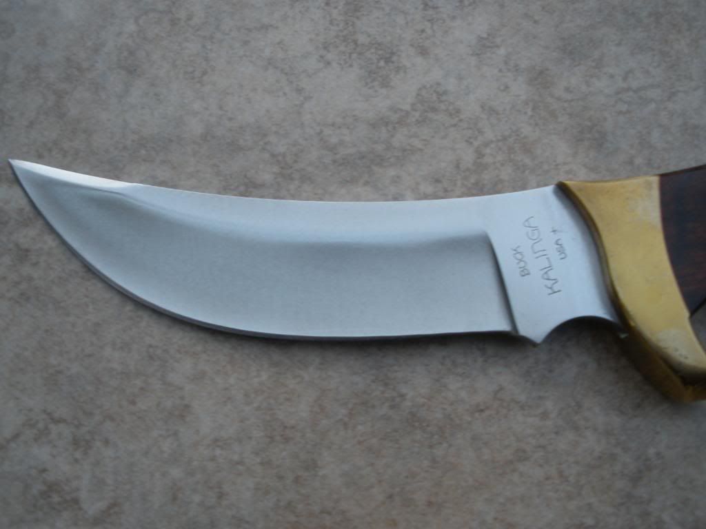 PB210931.jpg
