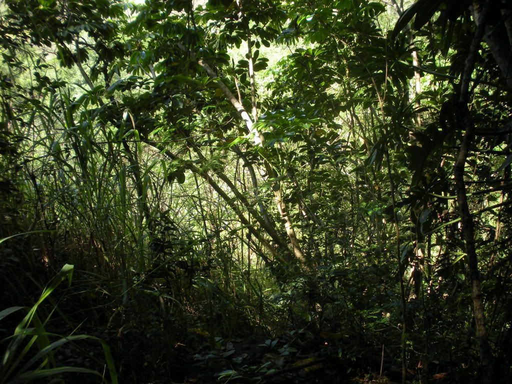DSCN0738.jpg