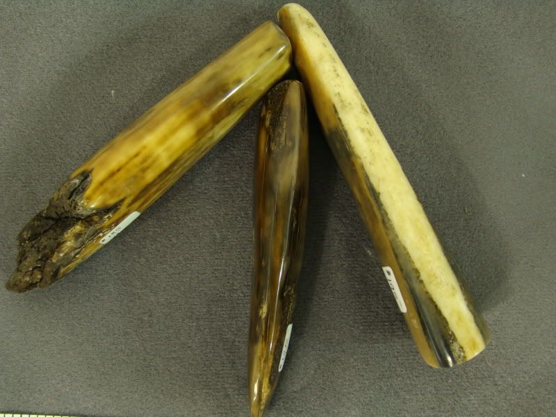 DSC09934.jpg
