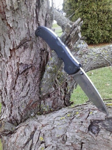 D8dXIqv.jpg