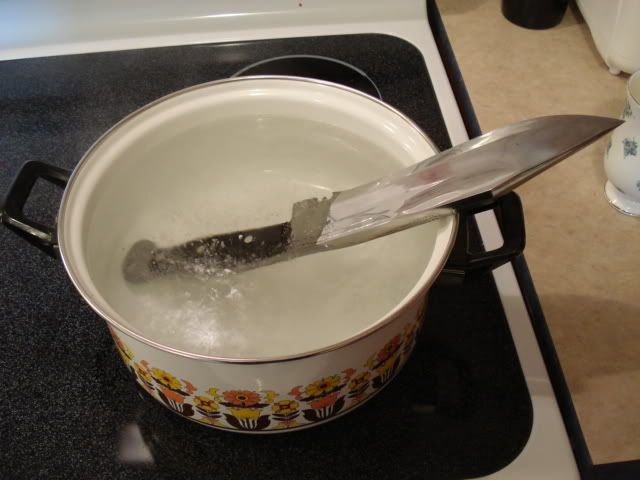 DSC00126.jpg
