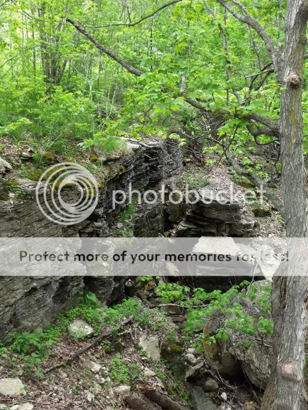LateMayBruceTrail003.jpg