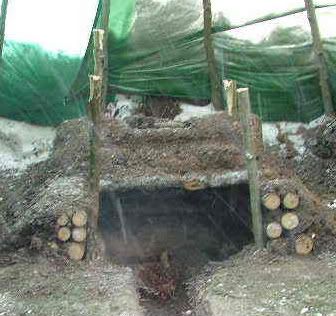 firepit-1.jpg