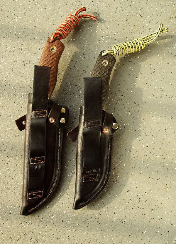 RatSheaths03.jpg