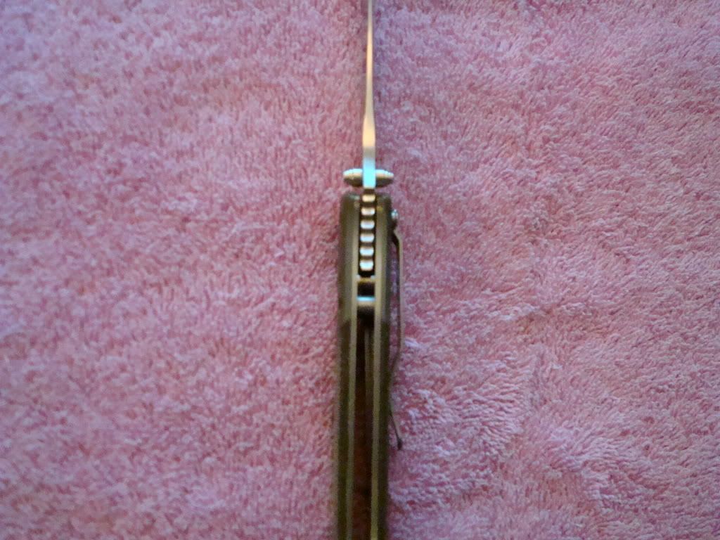 DSC00777.jpg