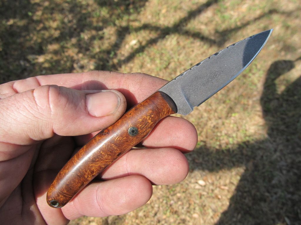 ironwoodburlminiedc015.jpg