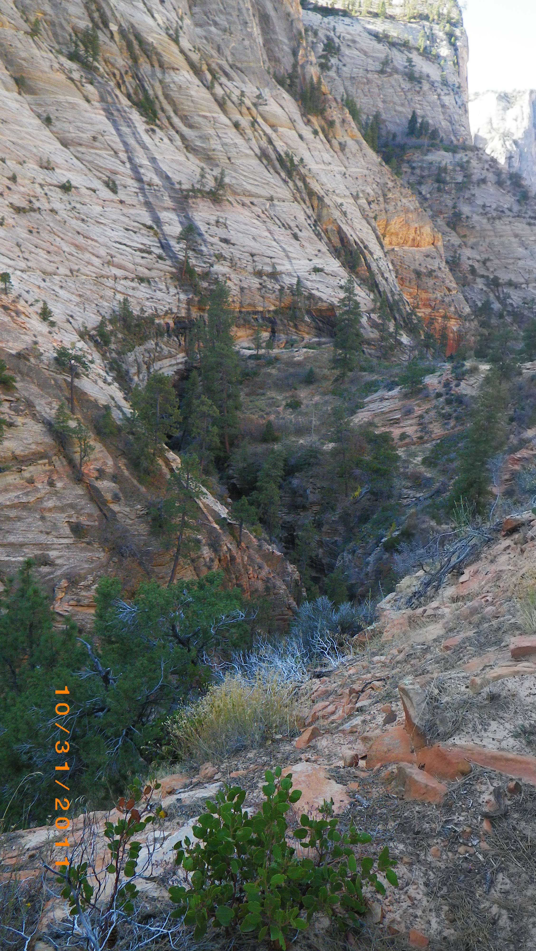 imgp4726.jpg