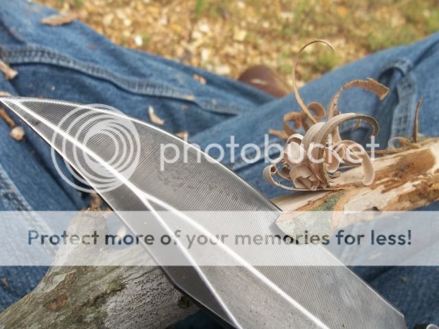 100_3390.jpg