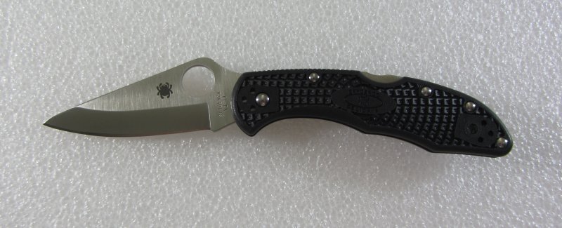 Delica_front_sc.jpg