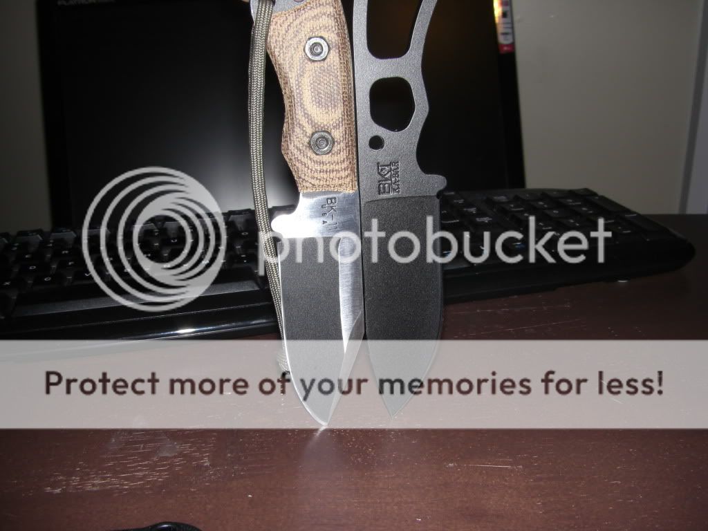 bk7-11035.jpg