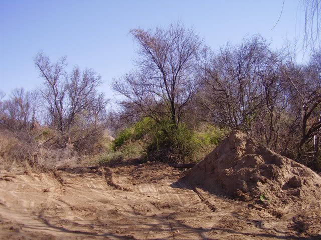 P5280028.jpg