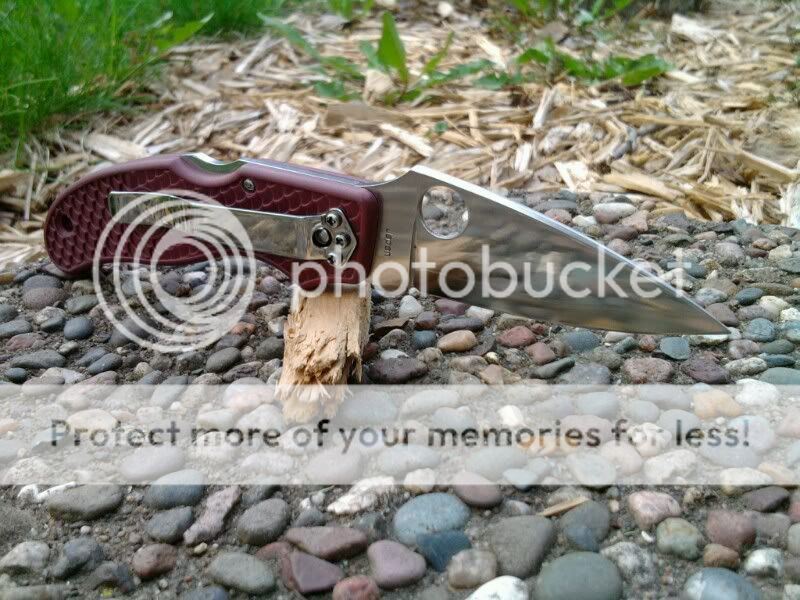 1304980806-picsay.jpg