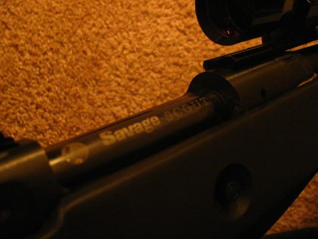 Savagescout022.jpg