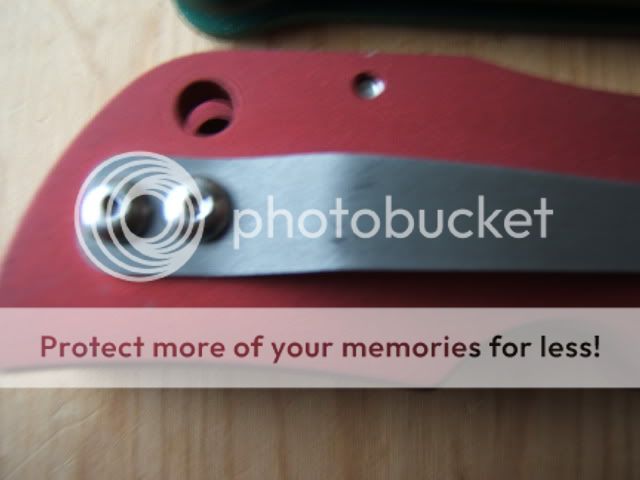 DSCF9763.jpg