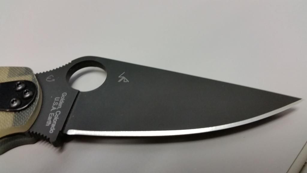 spydercobladeback_zpspxjiadig.jpg