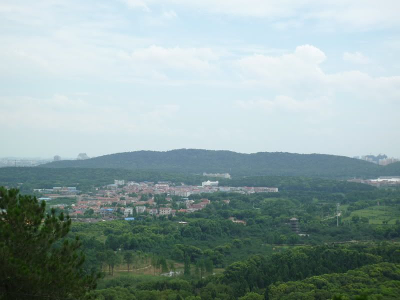 P1080059.jpg