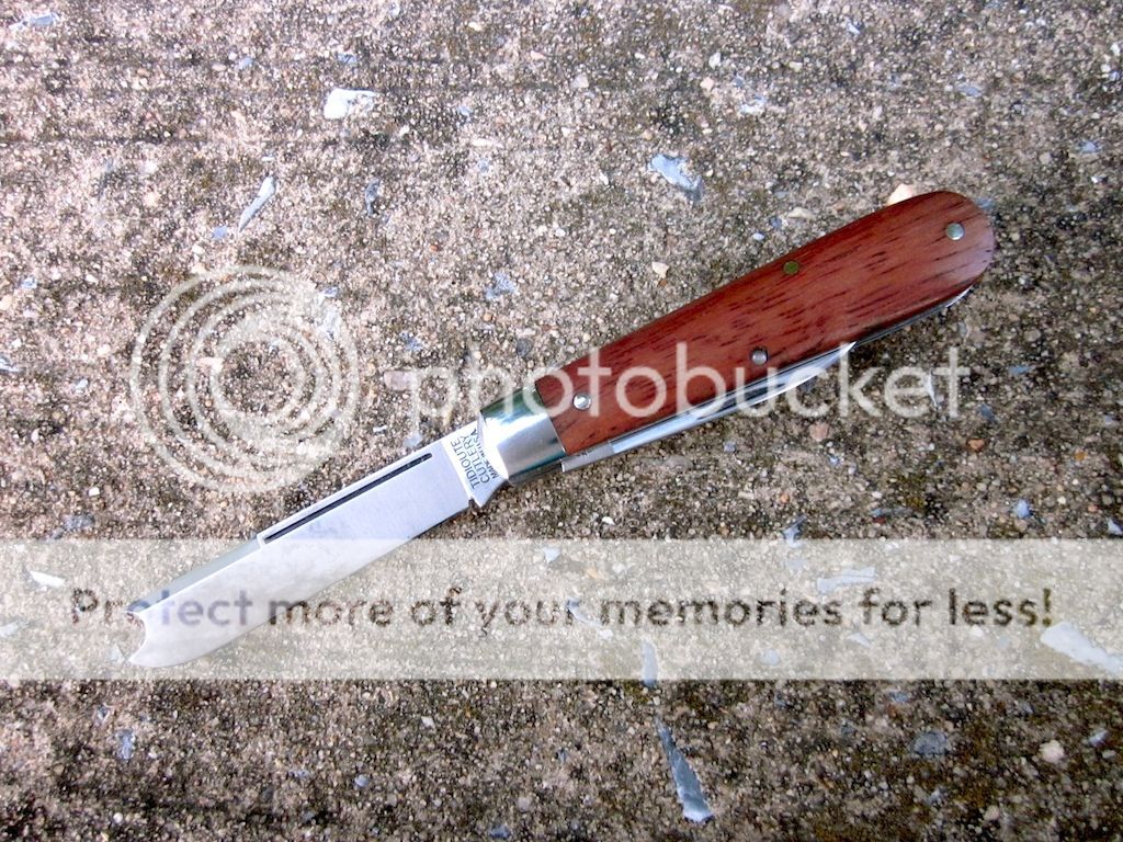 IMG_5128.jpg~original