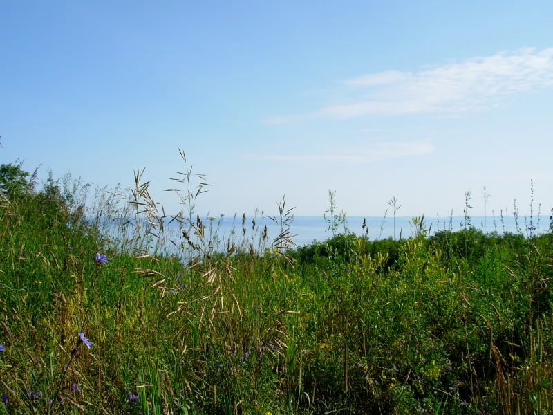 DSCN1055.jpg