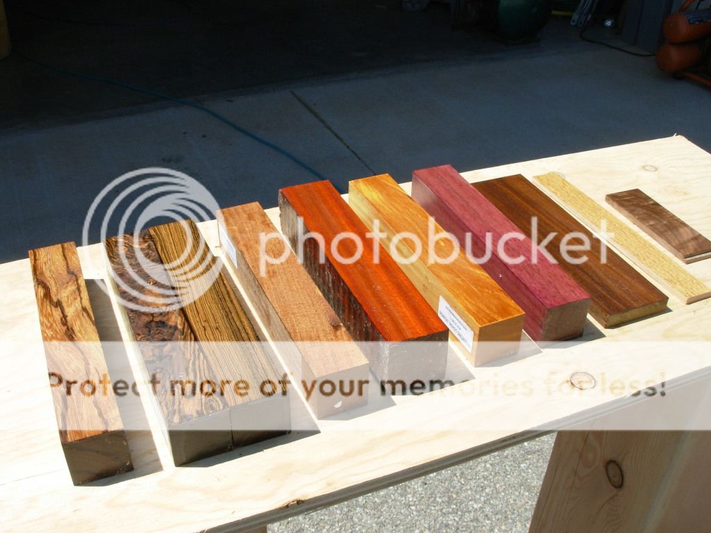 DSCN1174.jpg