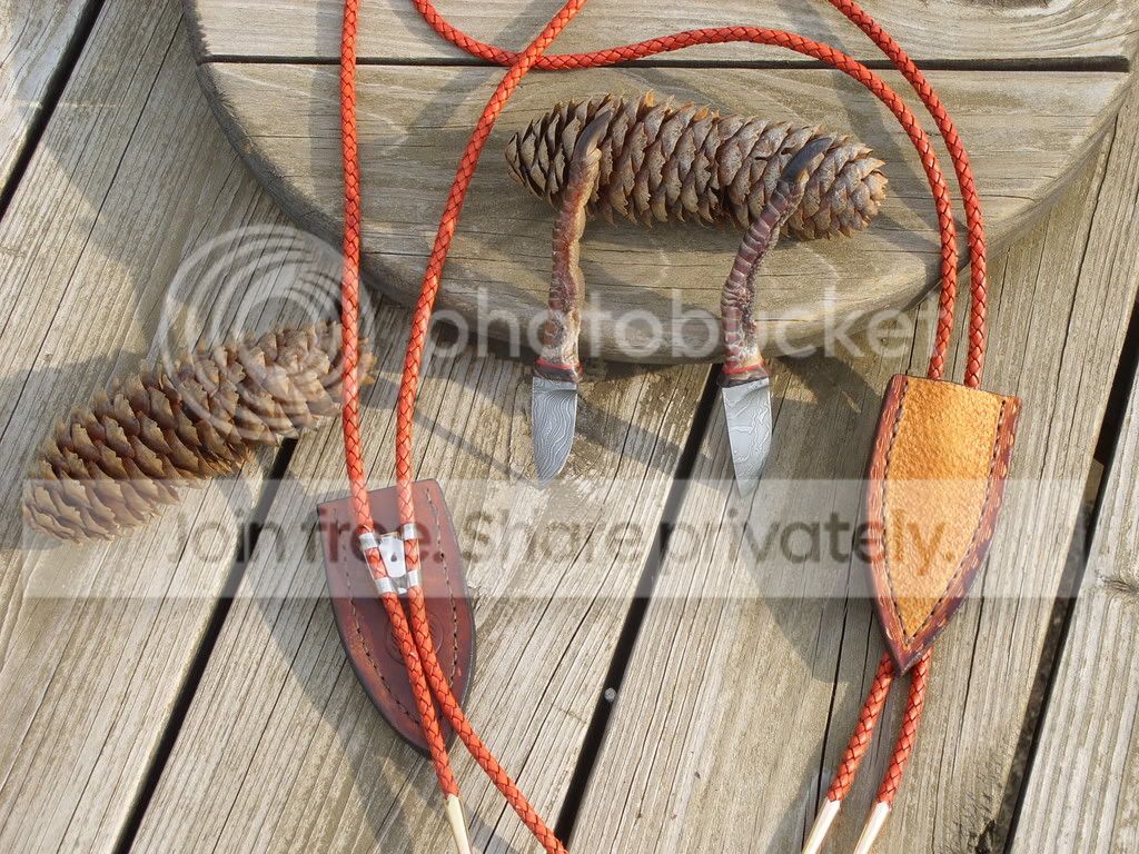 hairofthebear086.jpg