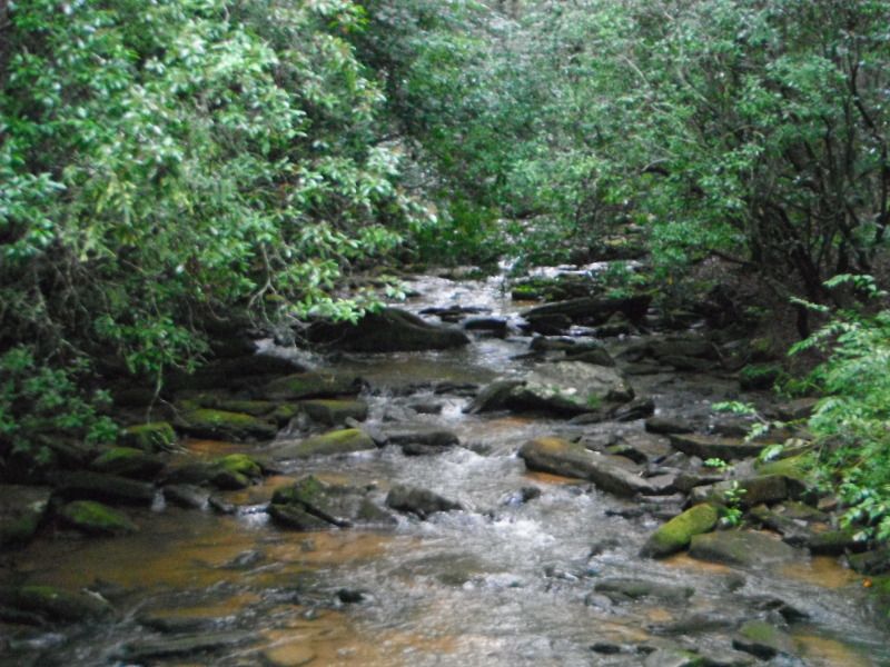 DSCF0772.jpg