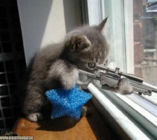 SniperCat-1.jpg
