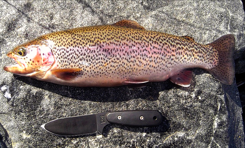 Cutbow%20bk14_zpse8rkse2j.png