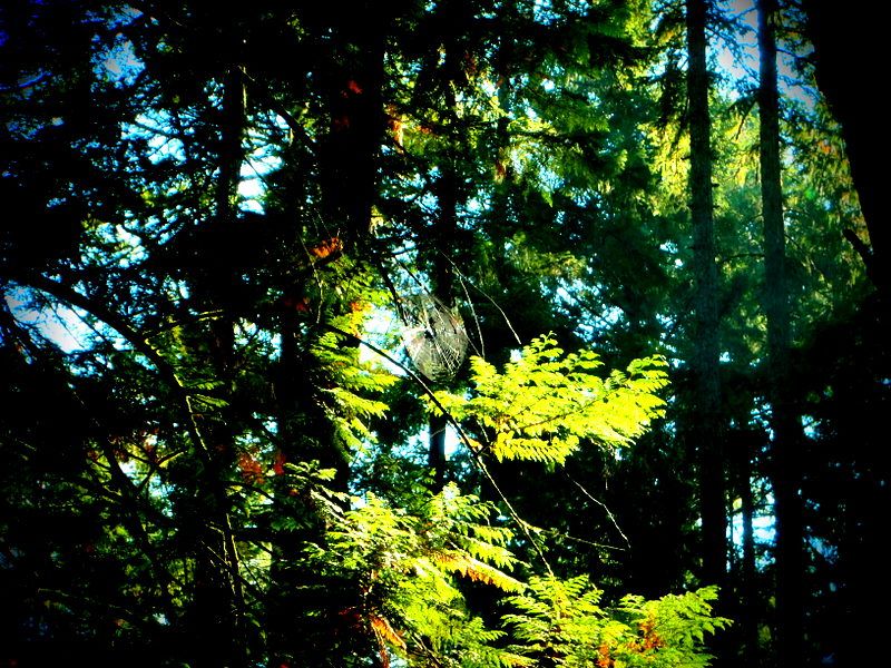 JohnDeanFall2012003-001.jpg