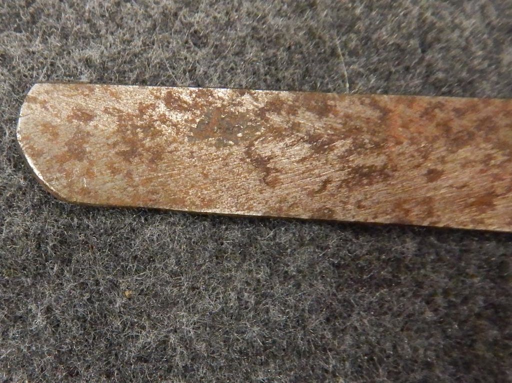 DSCN8762.jpg