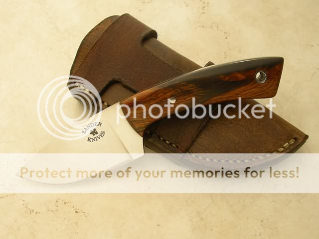 IMGP0707.jpg